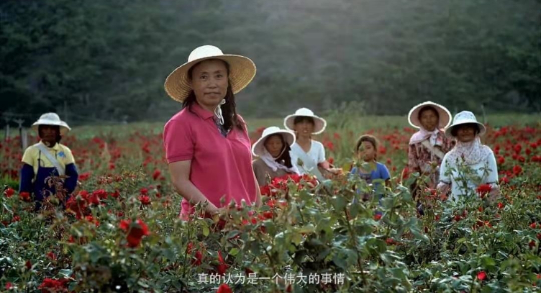 云南玖香鲜花生物科技股份有限公司